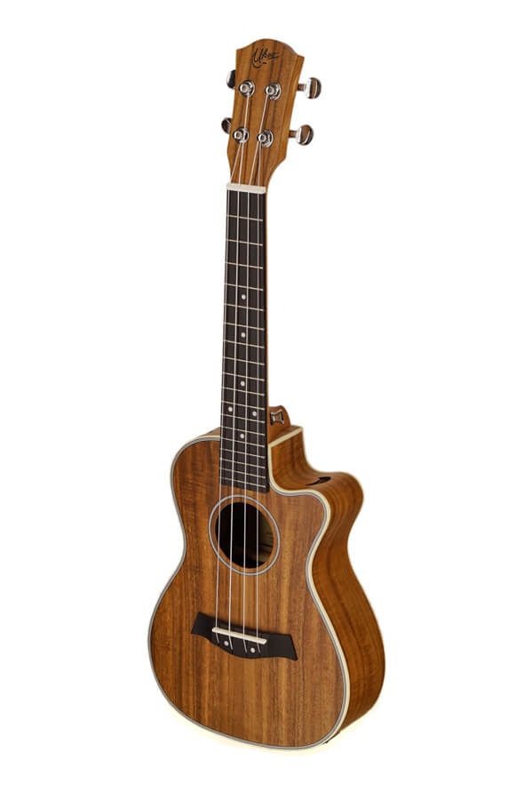 ukulele koa, elektrische ukulele, konzert ukulele